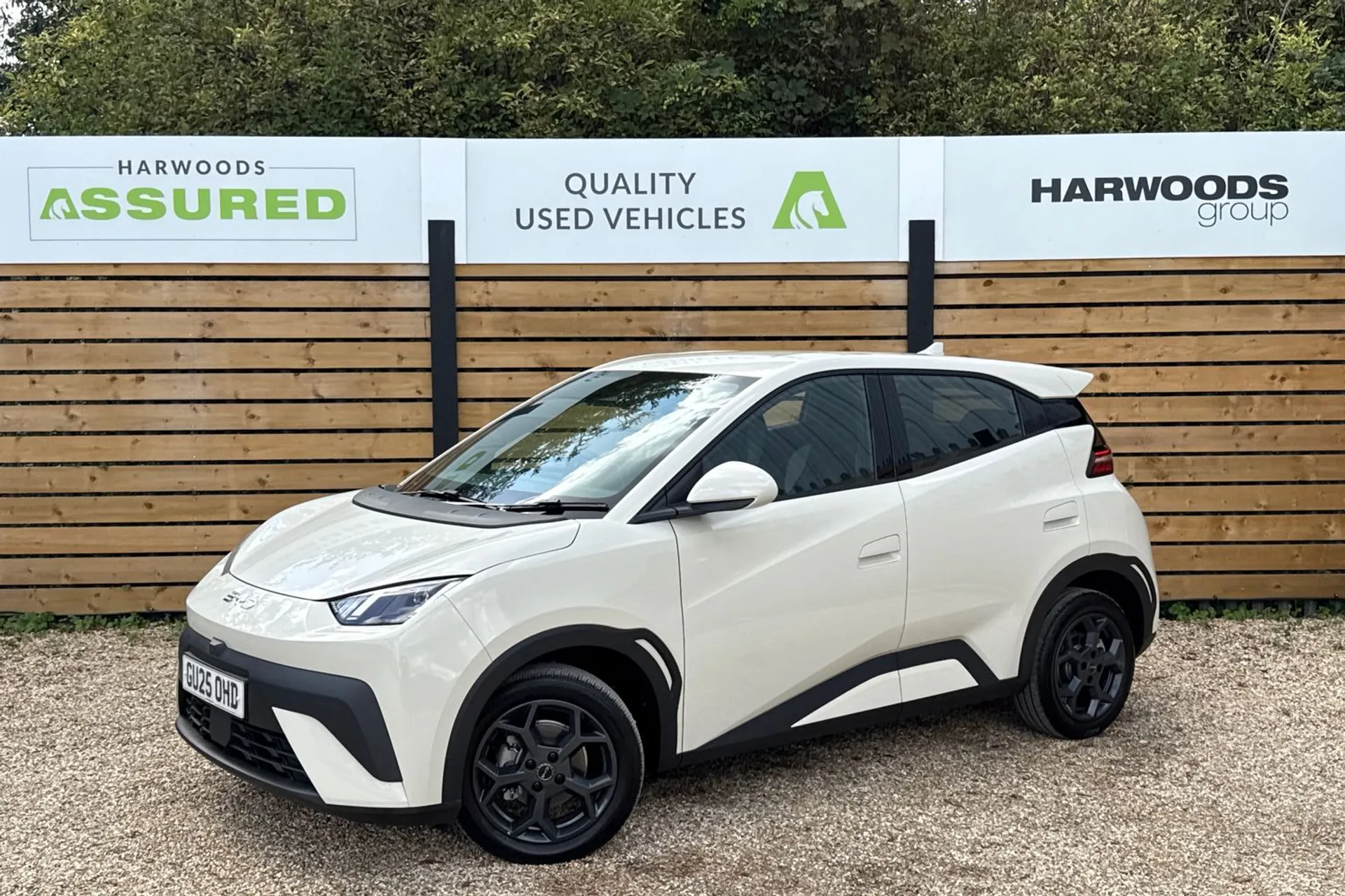 BYD DOLPHIN SURF thumbnail image number 12