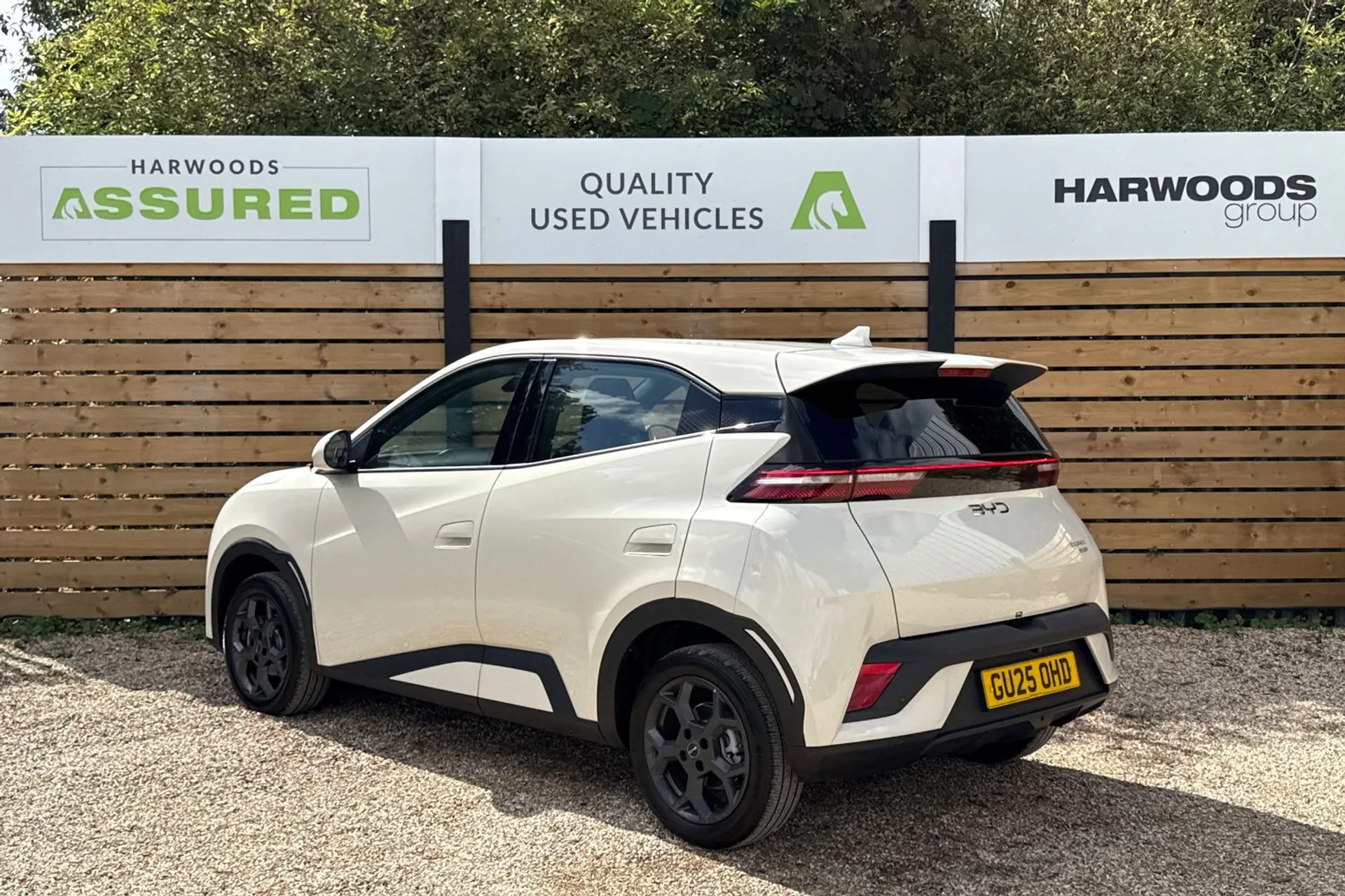 BYD DOLPHIN SURF thumbnail image number 10