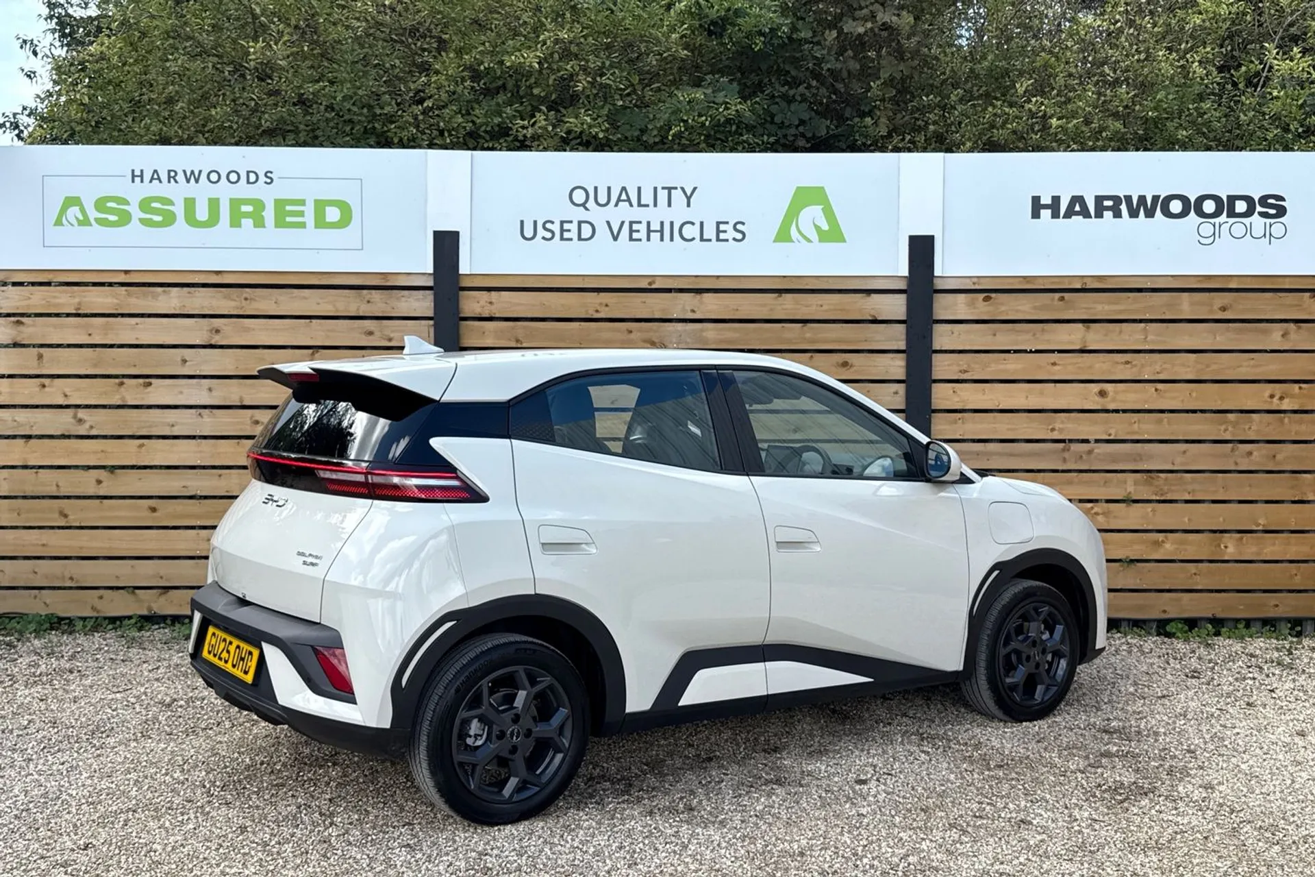 BYD DOLPHIN SURF thumbnail image number 8