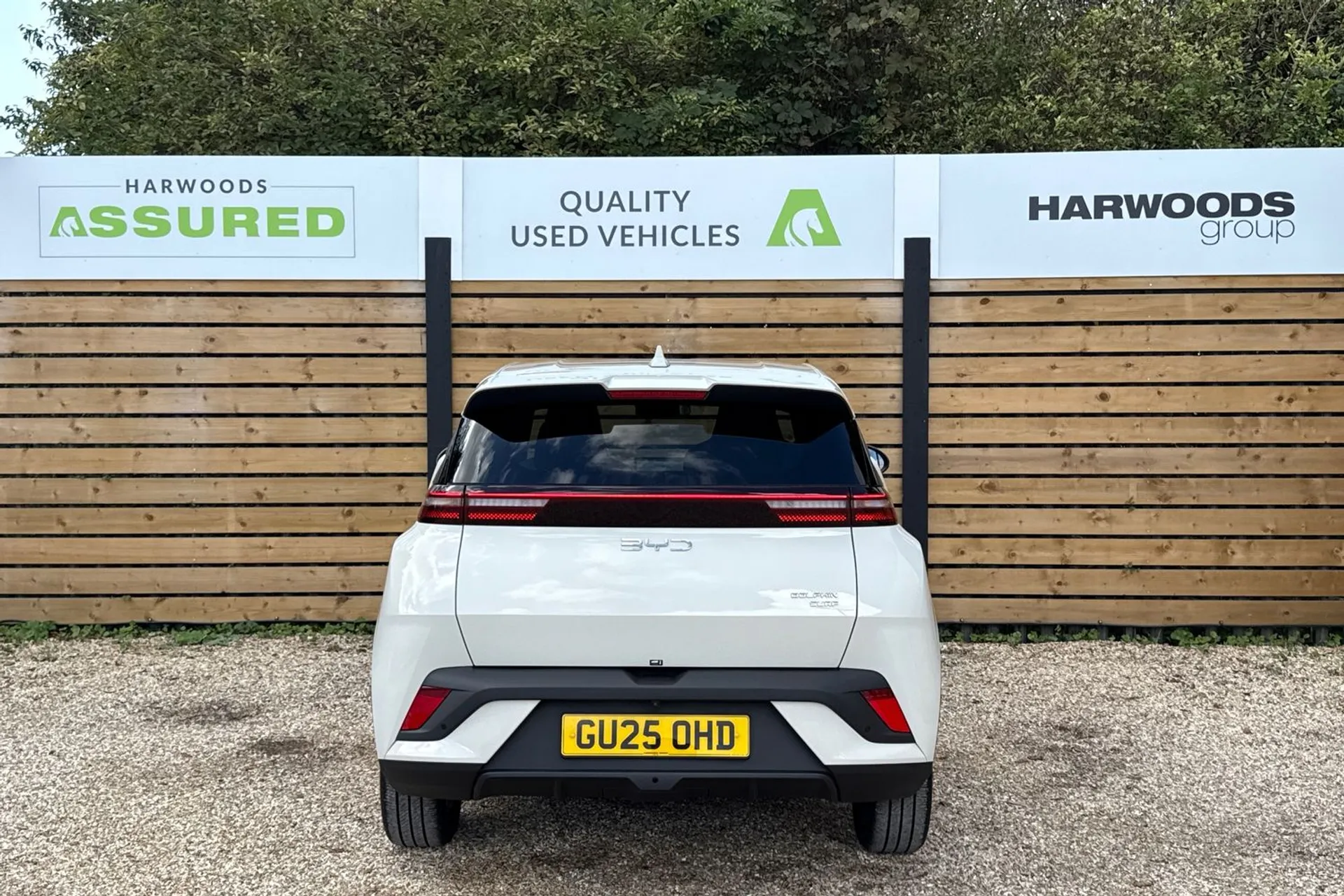 BYD DOLPHIN SURF thumbnail image number 9