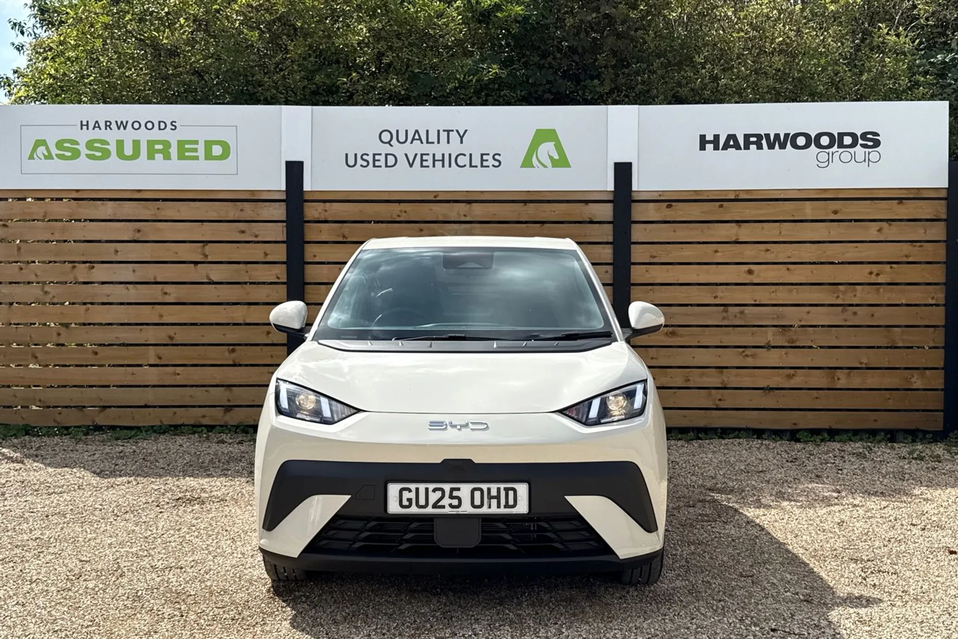 BYD DOLPHIN SURF thumbnail image number 13