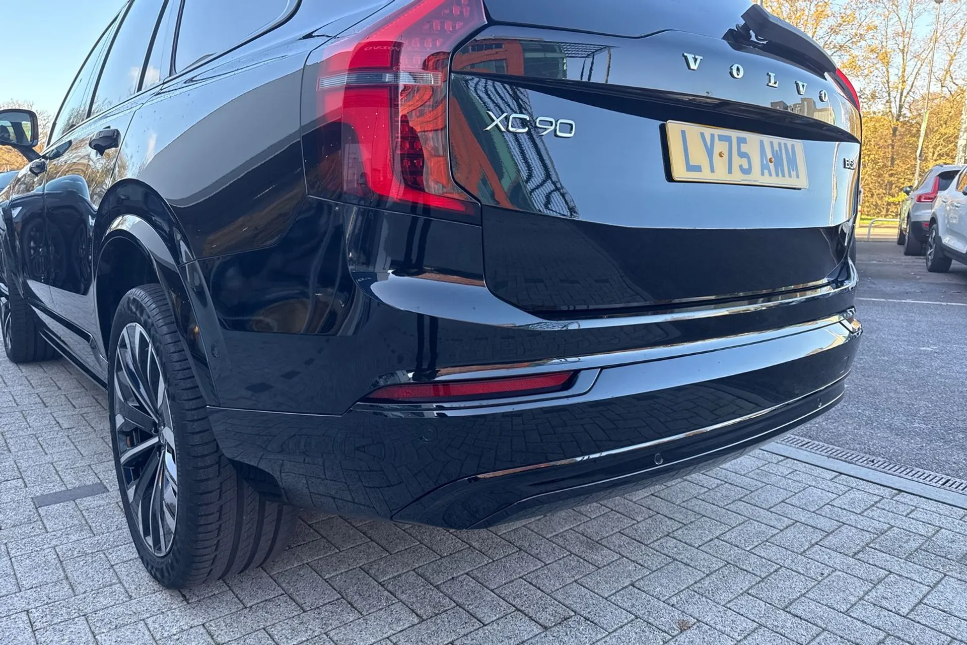 Volvo XC90 thumbnail image number 19