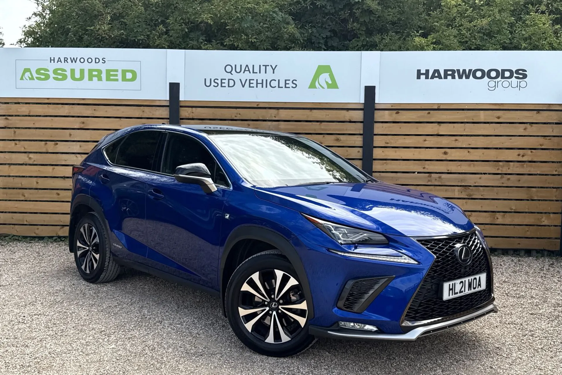 LEXUS NX focused image