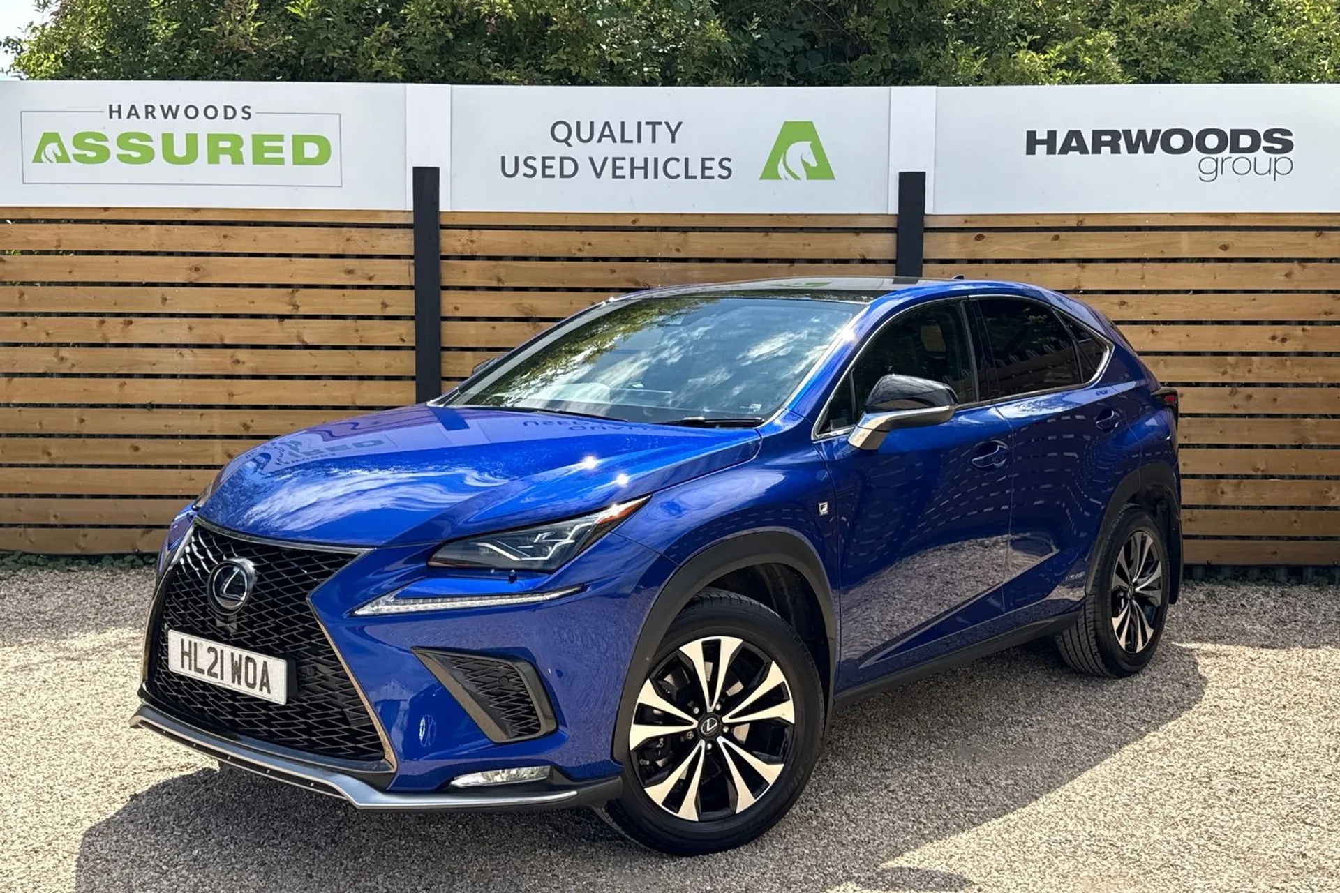 LEXUS NX thumbnail image number 12