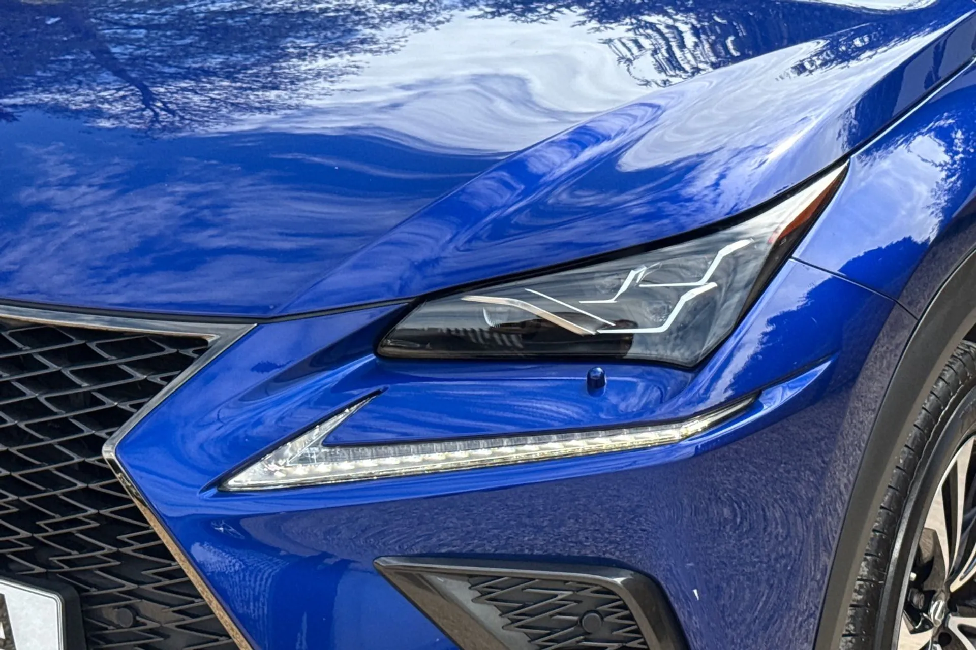 LEXUS NX thumbnail image number 52