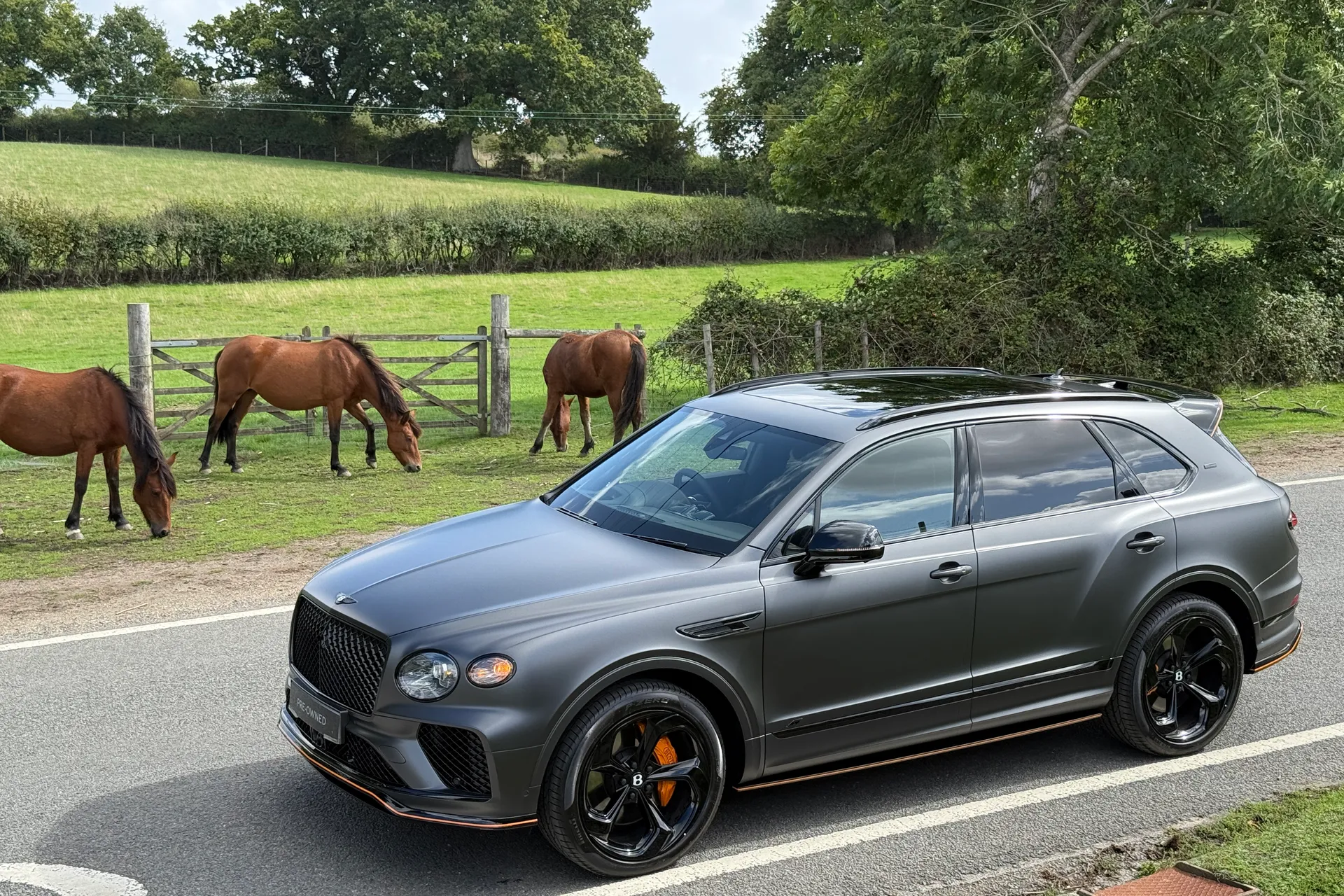 Bentley BENTAYGA thumbnail image number 18